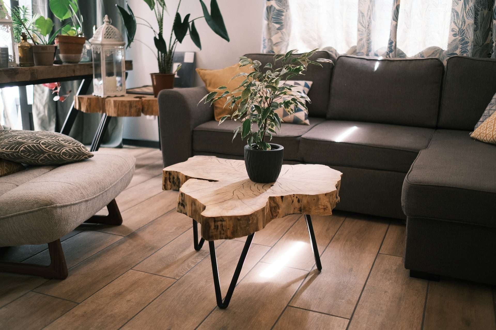 Salon avec la table basse en peuplier portant une plante en pot, canapé d’angle à l’arrière-plan